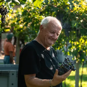 CANTINA NEPOS VILLAE - I GRANDI VINI DELLA VALPOLICELLA CLASSICA