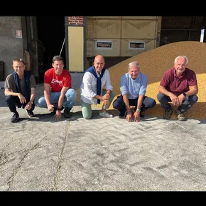 MILANO CENTO PERTICHE