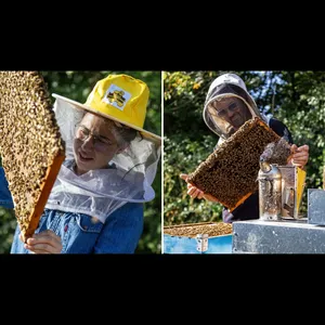 AZ. AGRICOLA BIO API E VITA