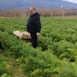 Azienda Agricola Giò Etna